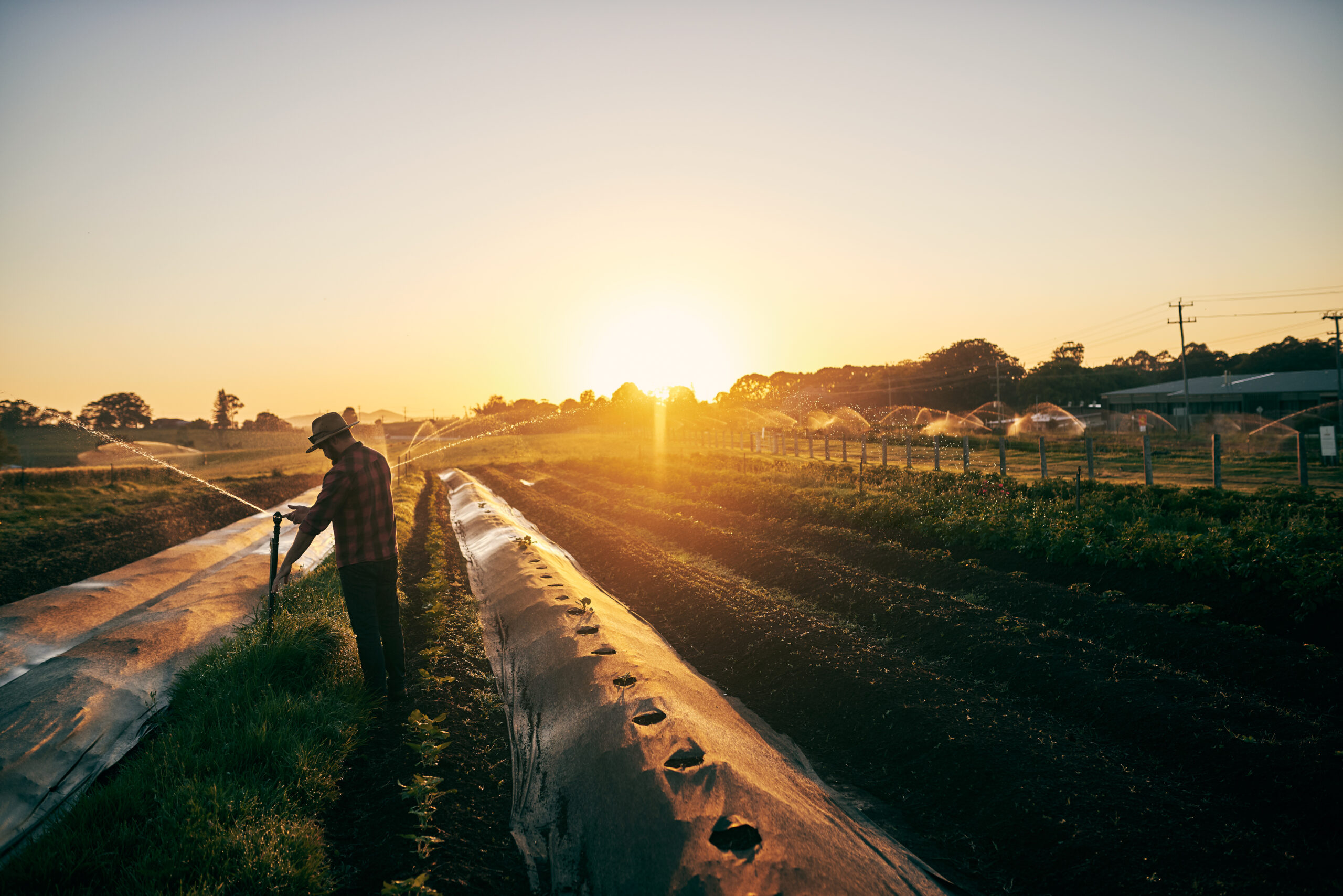 2023: The year the world connected food systems with climate change